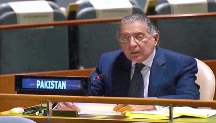 اقوام متحدہ پاکستان مندوب