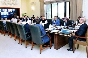 قومی اقتصادی کونسل