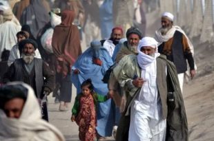 افغان تارکین