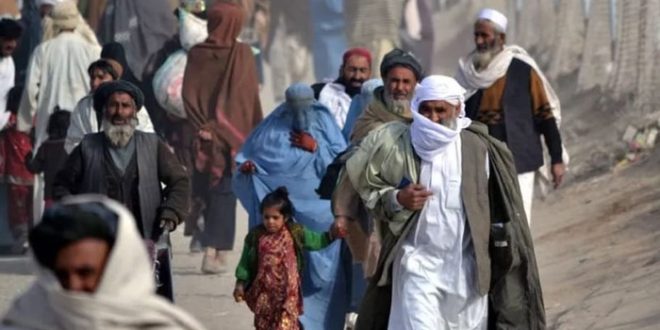 افغان تارکین