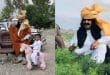 قبائلی سردار