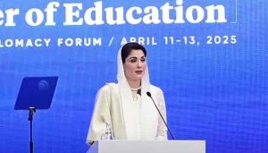 مریم نواز