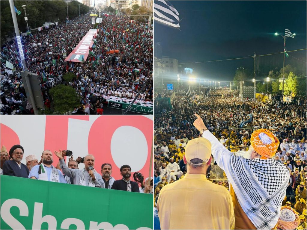 حامی